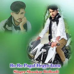 Ro Ro Pagal Hegyo Janu